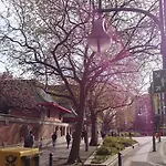 Crowne Plaza Centre Ku'damm By Ihg Hotel Berlin