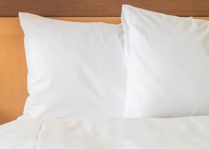 Crowne Plaza Centre Ku'damm By Ihg 4*